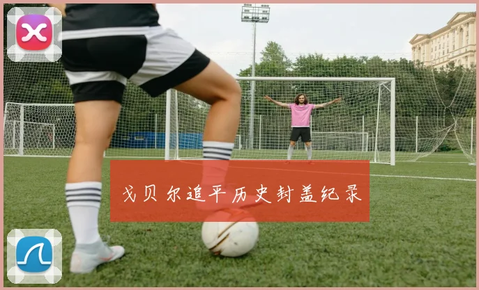 戈贝尔追平历史封盖纪录