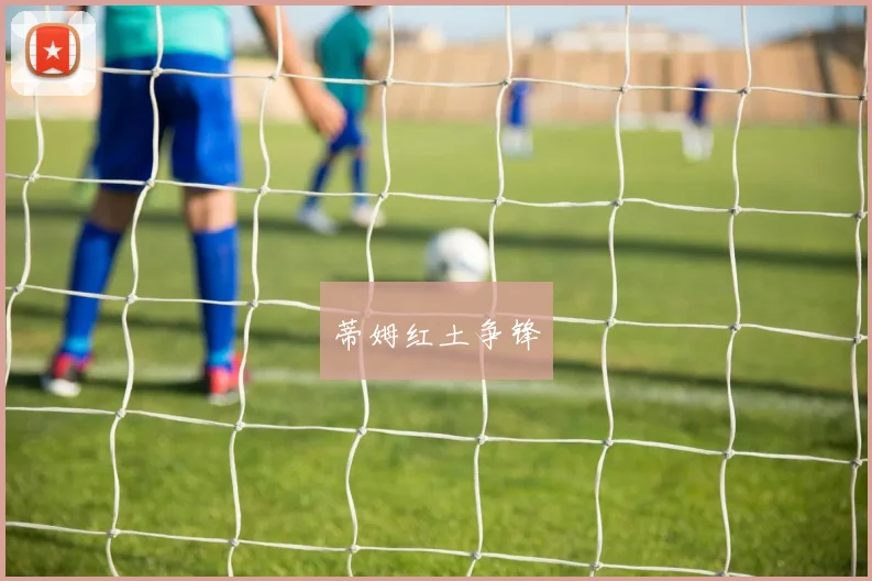 蒂姆红土争锋