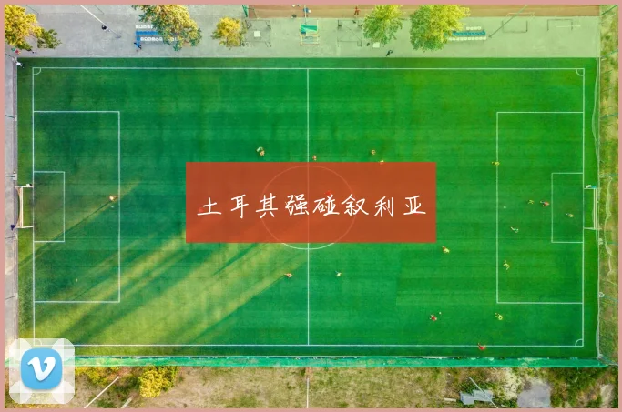 土耳其强碰叙利亚